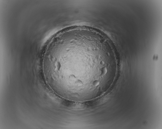 X0000112041263200908031508