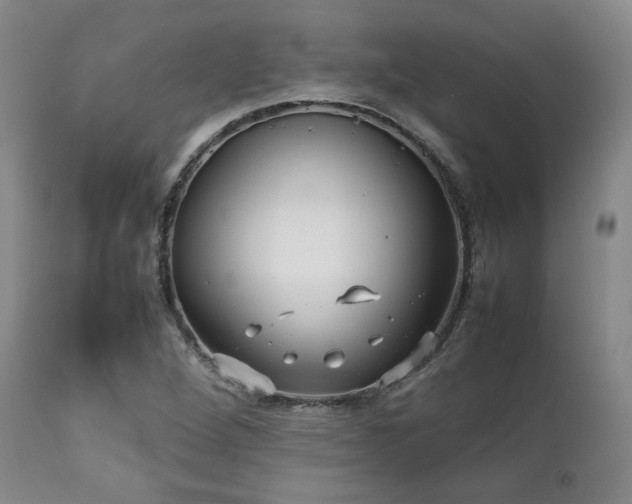 X0000112041264200908031508