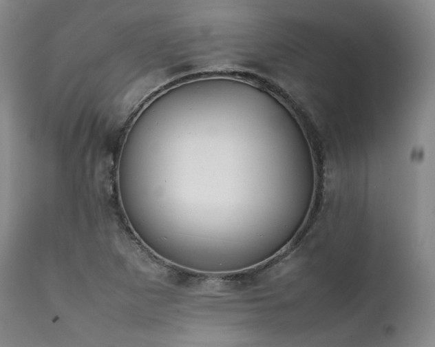 X0000112041265200908031508
