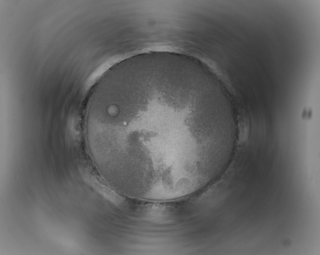 X0000112041266200908031508