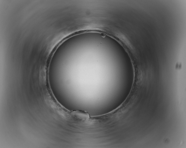 X0000112041268200908031508