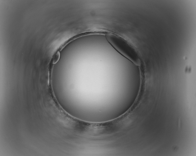 X0000112041269200908031508