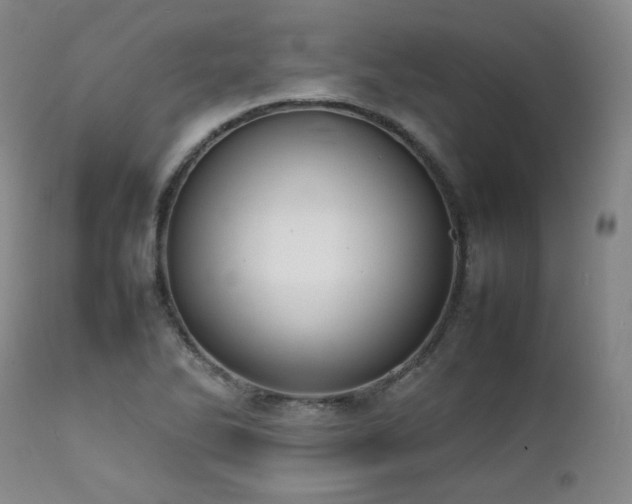 X0000112041270200908031508