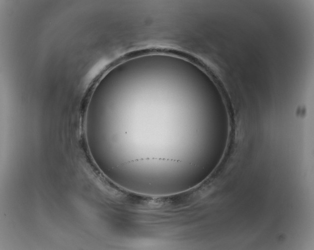 X0000112041271200908031508