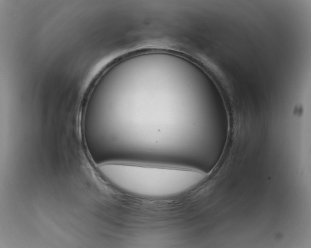 X0000112041272200908031508