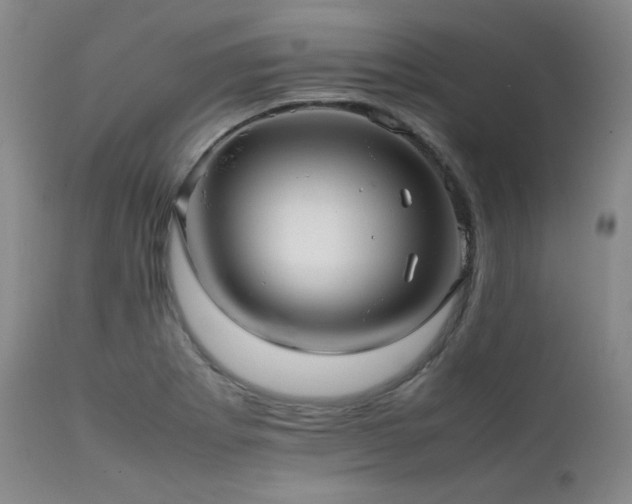 X0000112041273200908031508