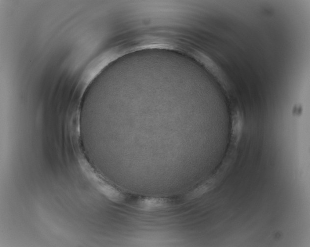 X0000112041274200908031508