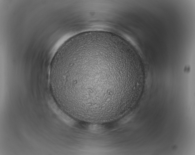 X0000112041275200908031508