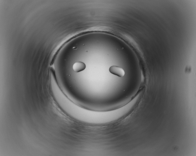 X0000112041276200908031508