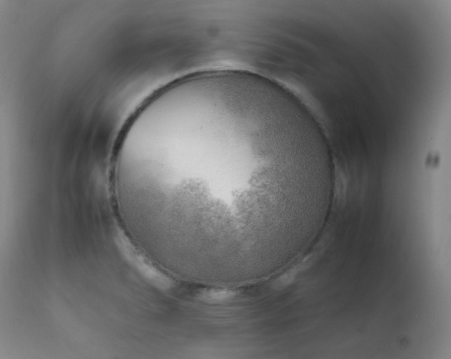 X0000112041278200908031508