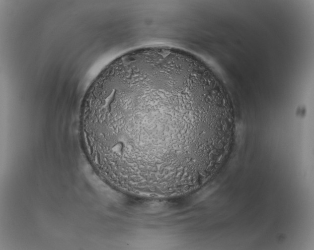 X0000112041279200908031508