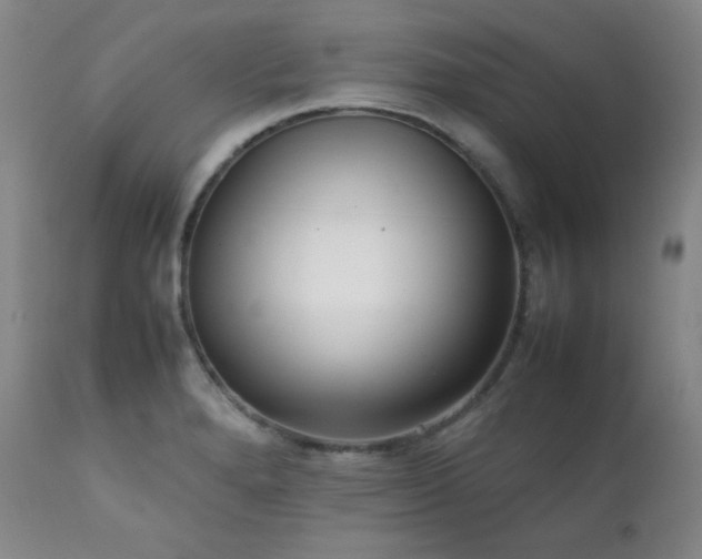 X0000112041280200908031508