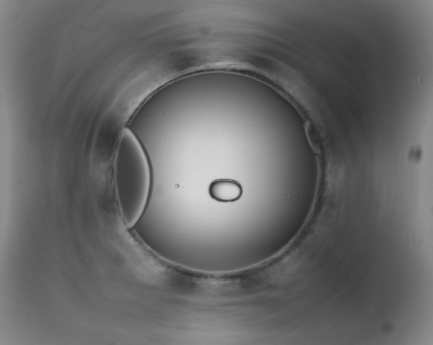 X0000112041281200908031508