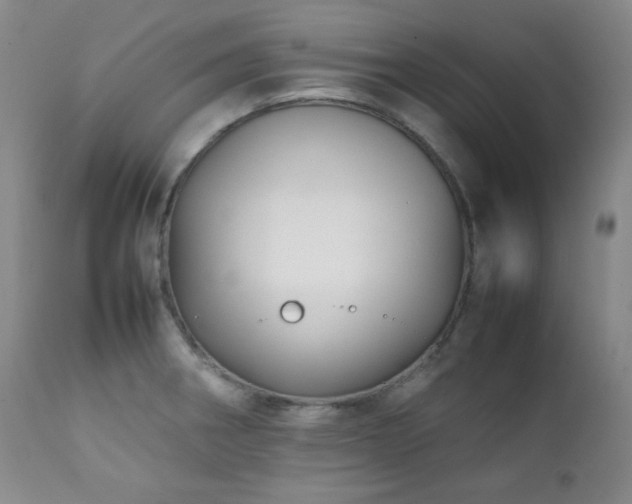 X0000112041282200908031508