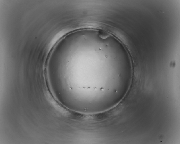 X0000112041283200908031508