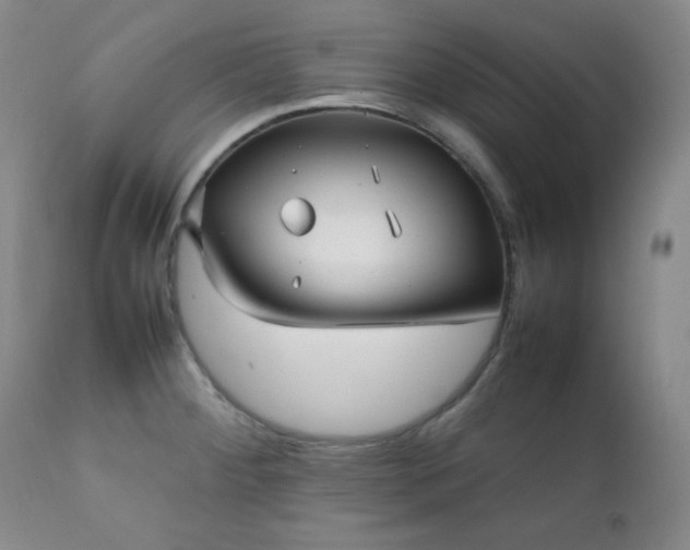 X0000112041284200908031508