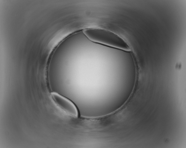 X0000112041285200908031508