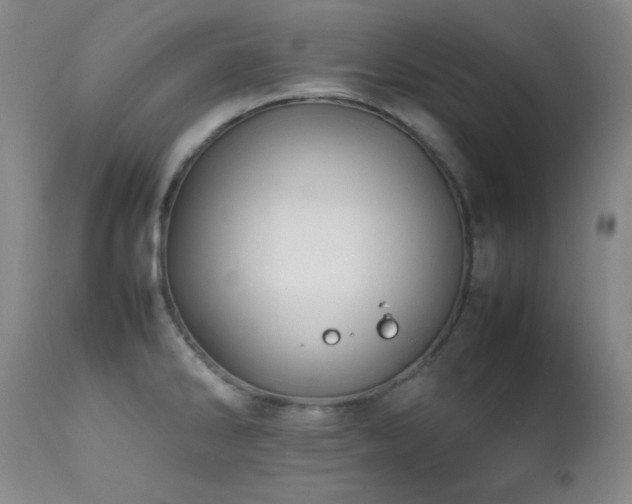 X0000112041286200908031508