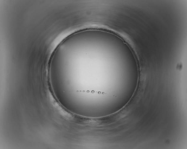 X0000112041287200908031508