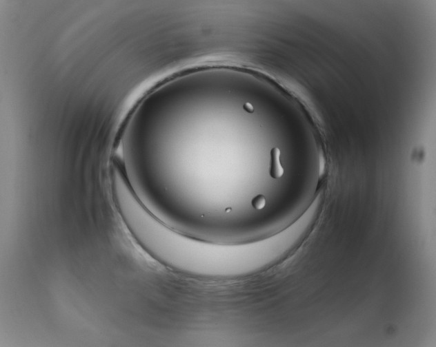 X0000112041288200908031508