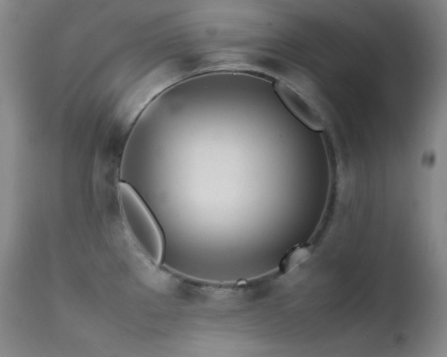 X0000112041289200908031508