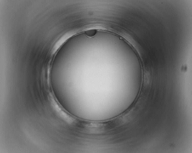 X0000112041290200908031508