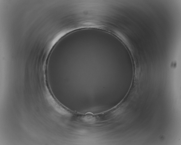 X0000112041291200908031508