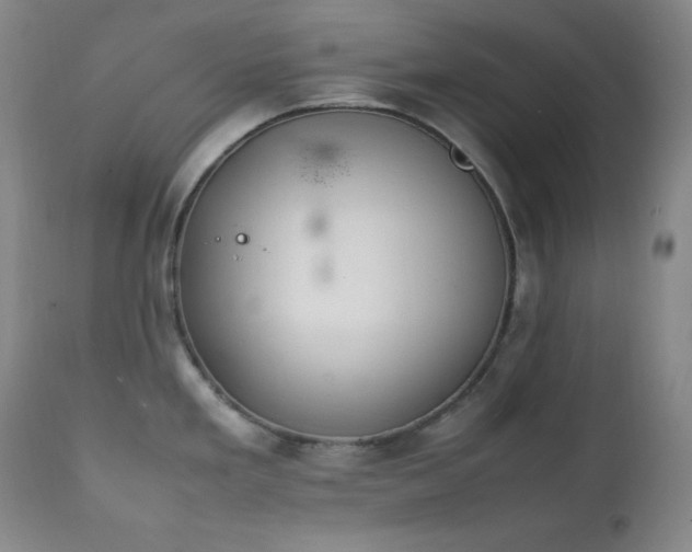 X0000112041293200908031508