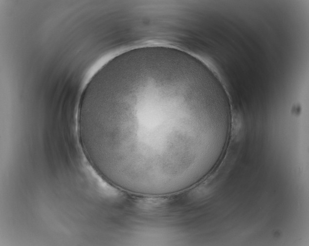 X0000112041294200908031508