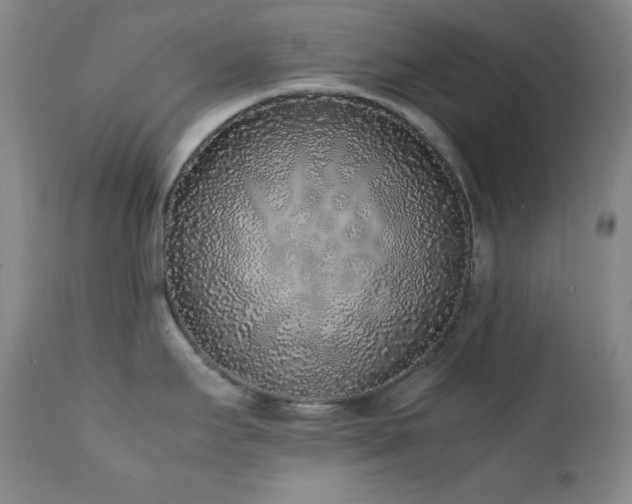 X0000112041295200908031508