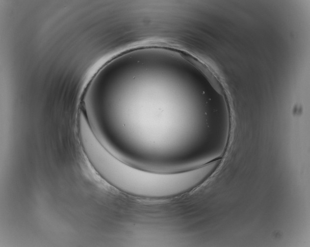 X0000112041296200908031508