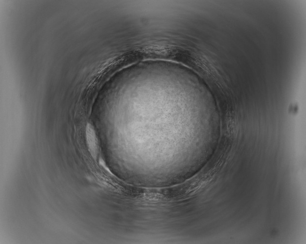 X0000112041297200908031507