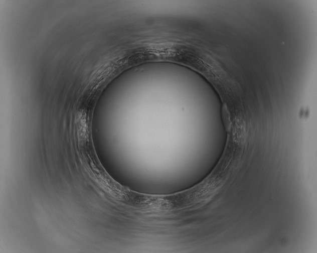 X0000112041298200908031507