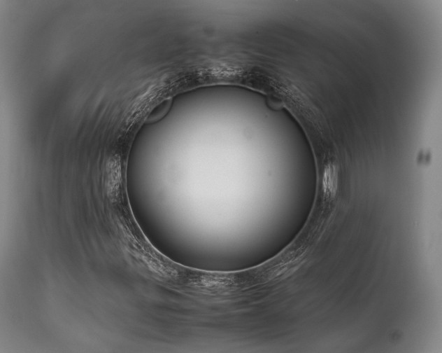 X0000112041299200908031507