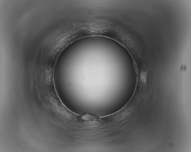 X0000112041300200908031507