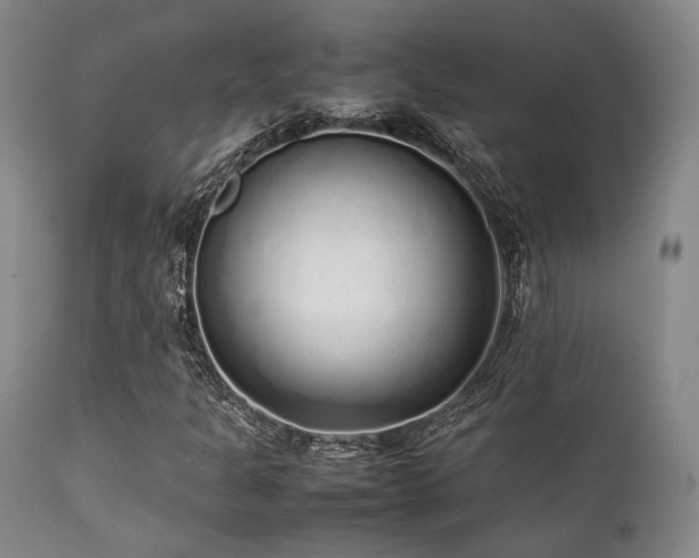 X0000112041301200908031507