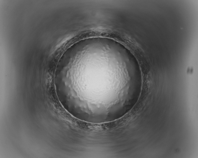 X0000112041302200908031507