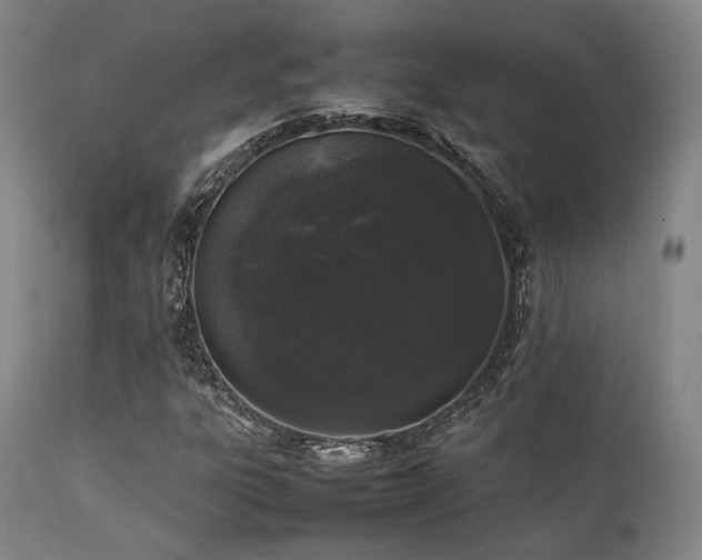 X0000112041303200908031507