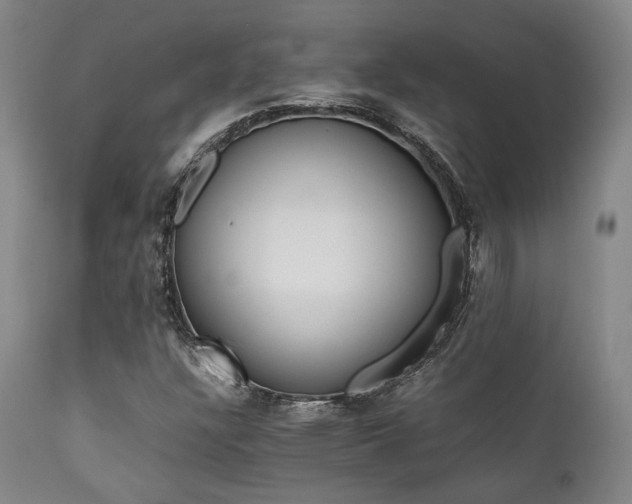 X0000112041304200908031507