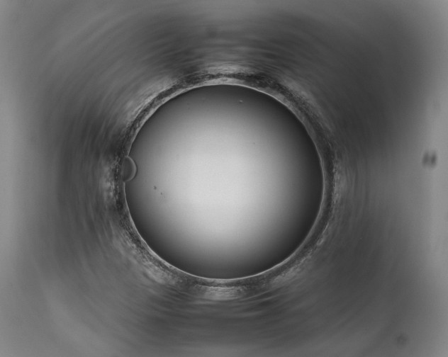 X0000112041305200908031507
