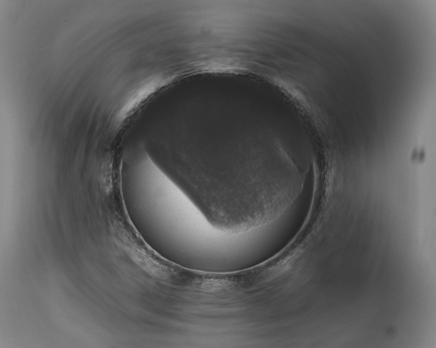 X0000112041306200908031507