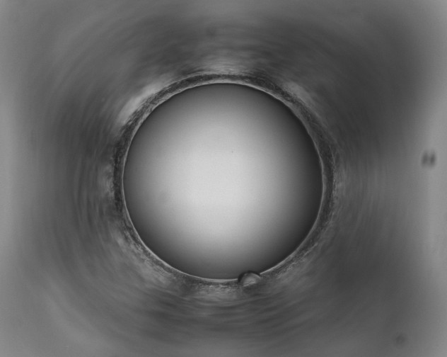 X0000112041307200908031507