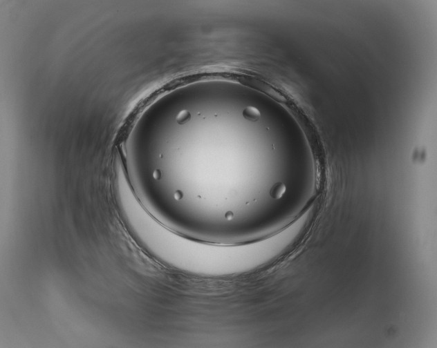 X0000112041308200908031507