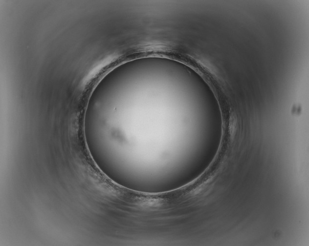 X0000112041309200908031507