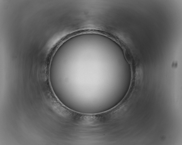 X0000112041310200908031507