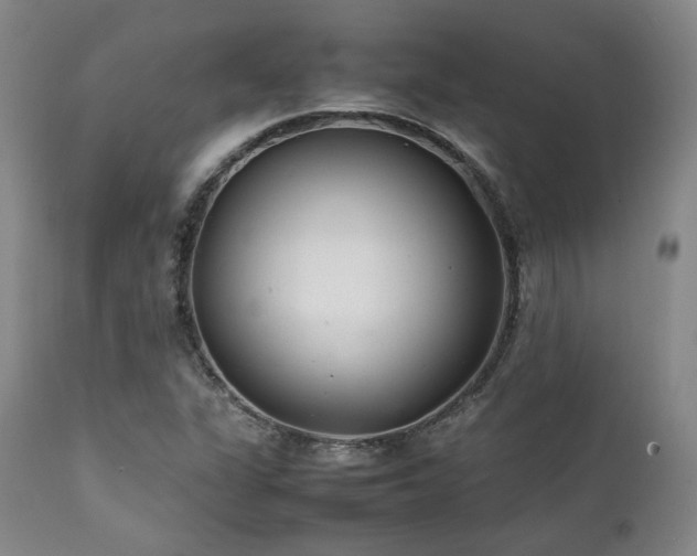 X0000112041311200908031507