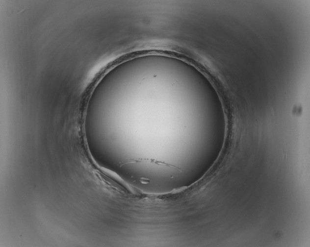 X0000112041312200908031507
