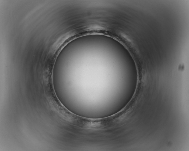 X0000112041313200908031507