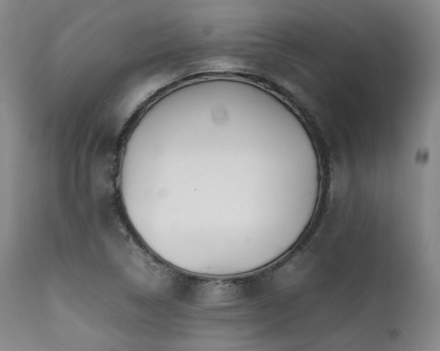 X0000112041314200908031507