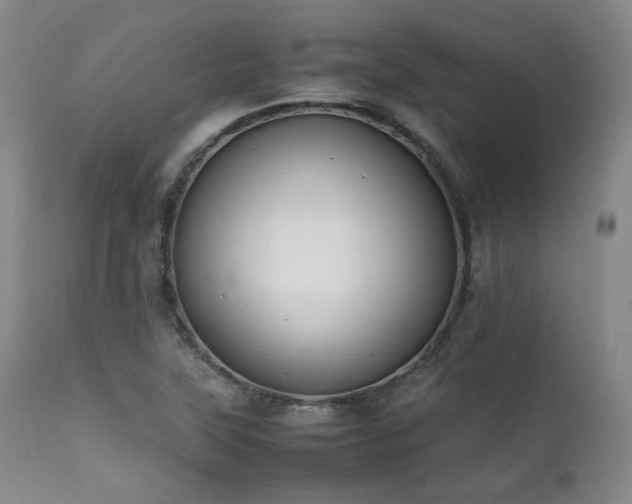 X0000112041315200908031507
